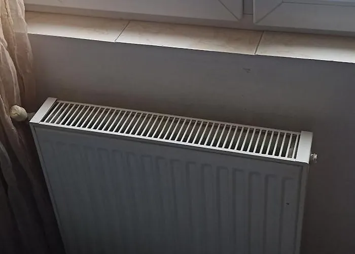 Simone Tiny Economy House Тімішоара